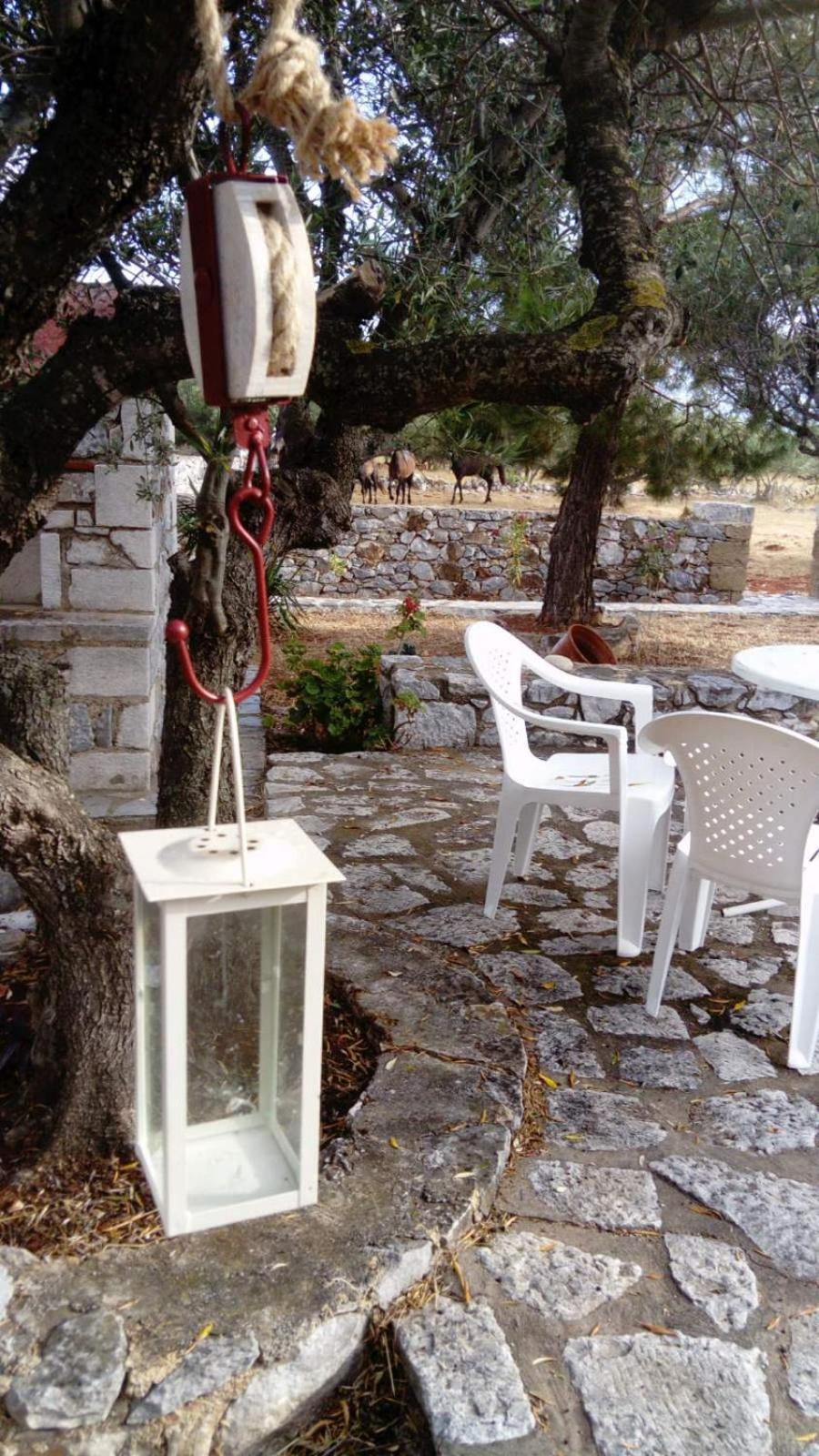 Charouda Stone Tower Xenonas Apartment Pírgos Dhiroú Bagian luar foto