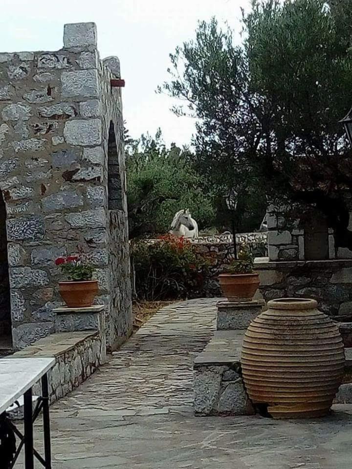 Charouda Stone Tower Xenonas Apartment Pírgos Dhiroú Bagian luar foto