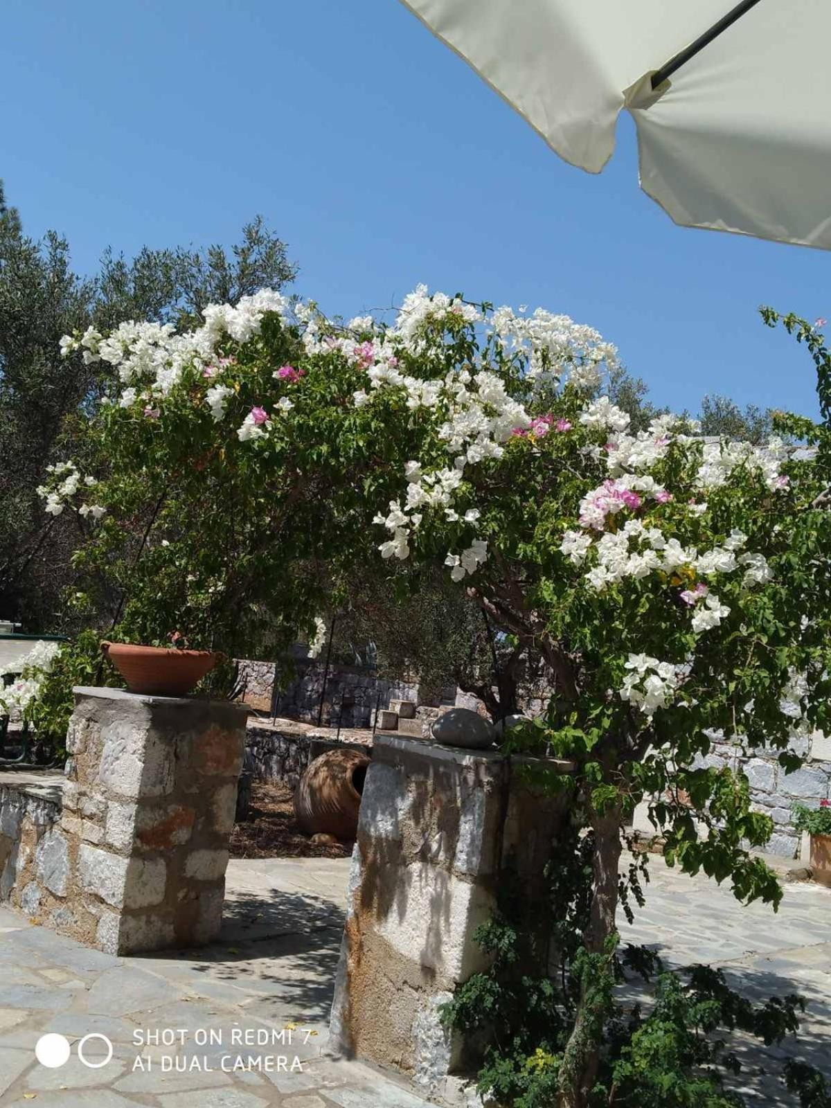 Charouda Stone Tower Xenonas Apartment Pírgos Dhiroú Bagian luar foto